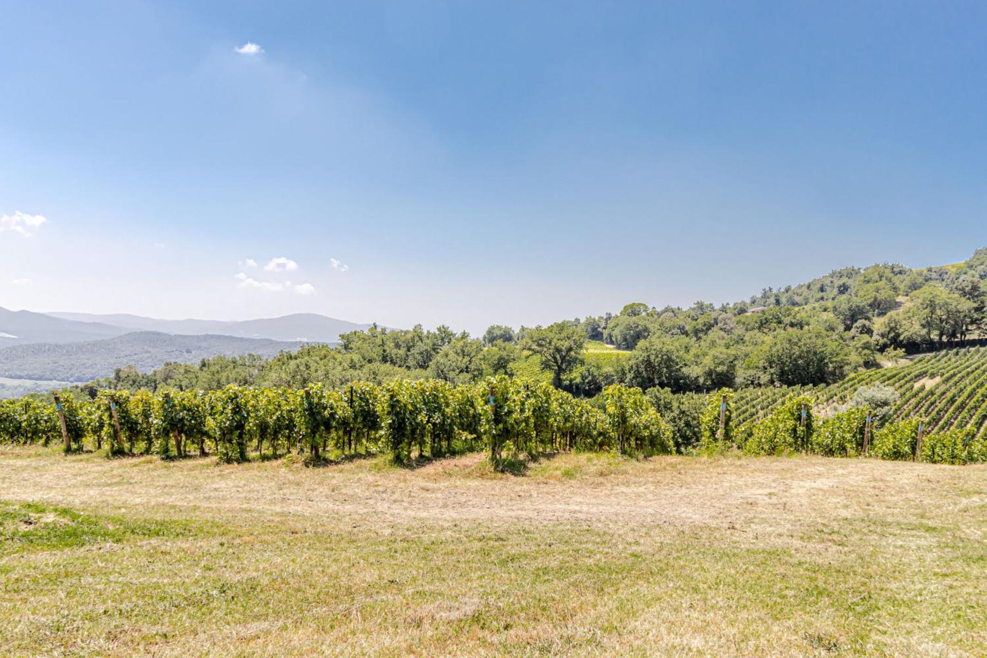 Chateau La Siroque Montecatini Val di Cecina Exterior photo